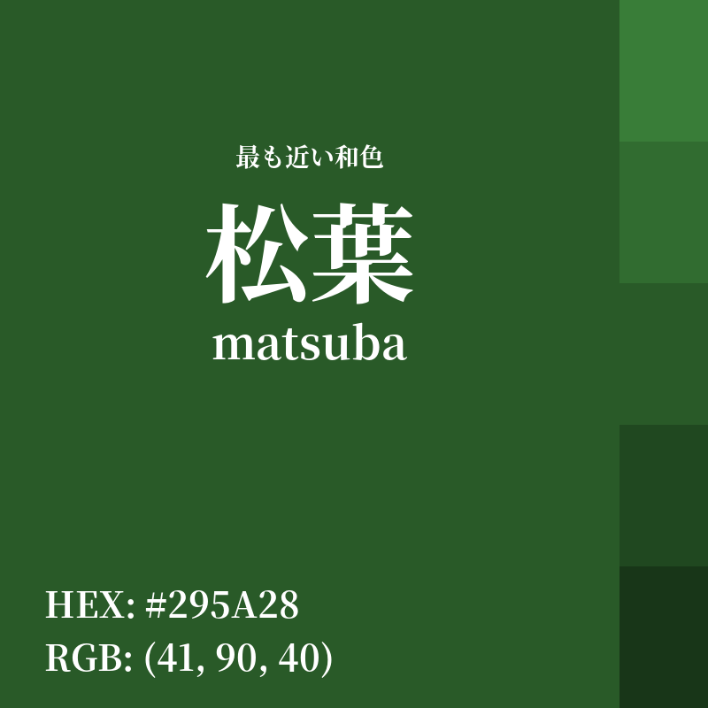 #295A28 : 最も近い和色「松葉 (matsuba)」