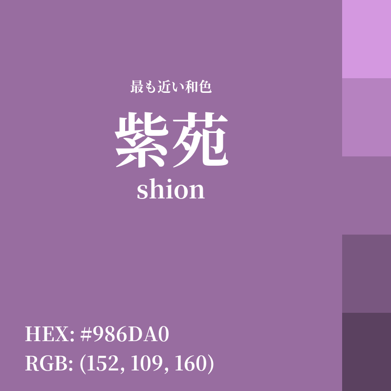 #986DA0 : 最も近い和色「紫苑 (shion)」