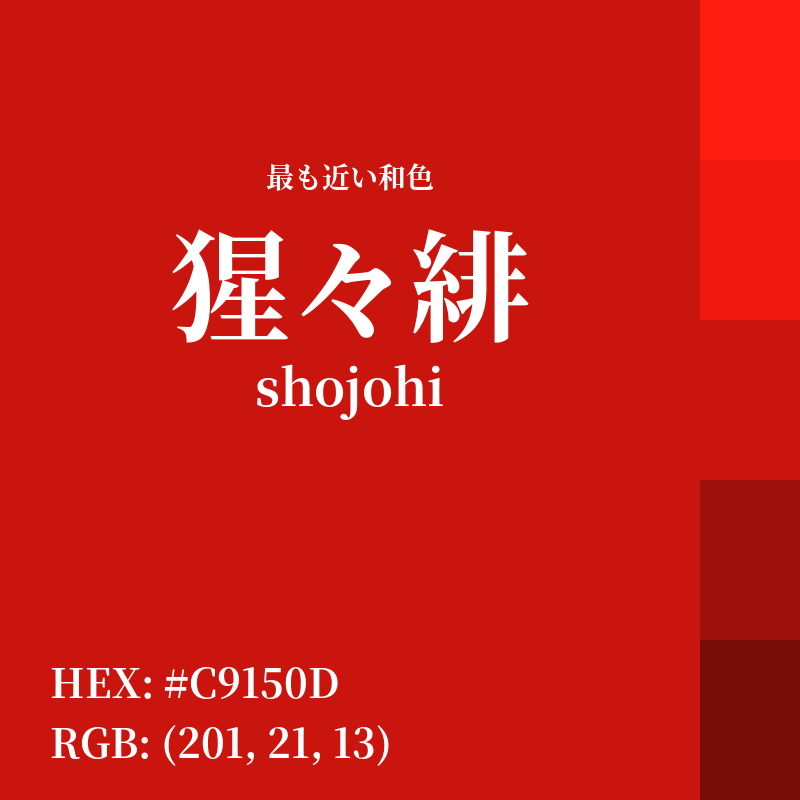 #C9150D : 最も近い和色「猩々緋 (shojohi)」