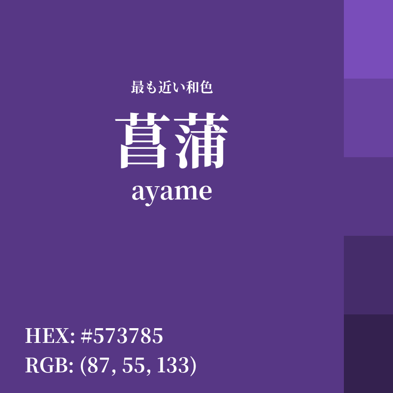 #573785 : 最も近い和色「菖蒲 (ayame)」