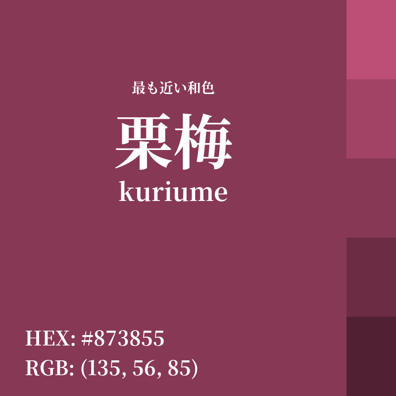 #873855 : 最も近い和色「栗梅 (kuriume)」