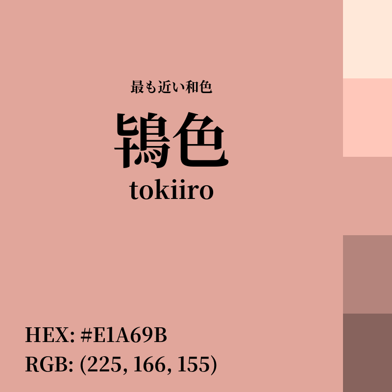 #E1A69B : 最も近い和色「鴇色 (tokiiro)」