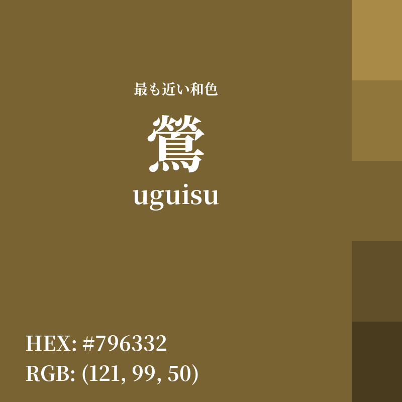 #796332 : 最も近い和色「鶯 (uguisu)」