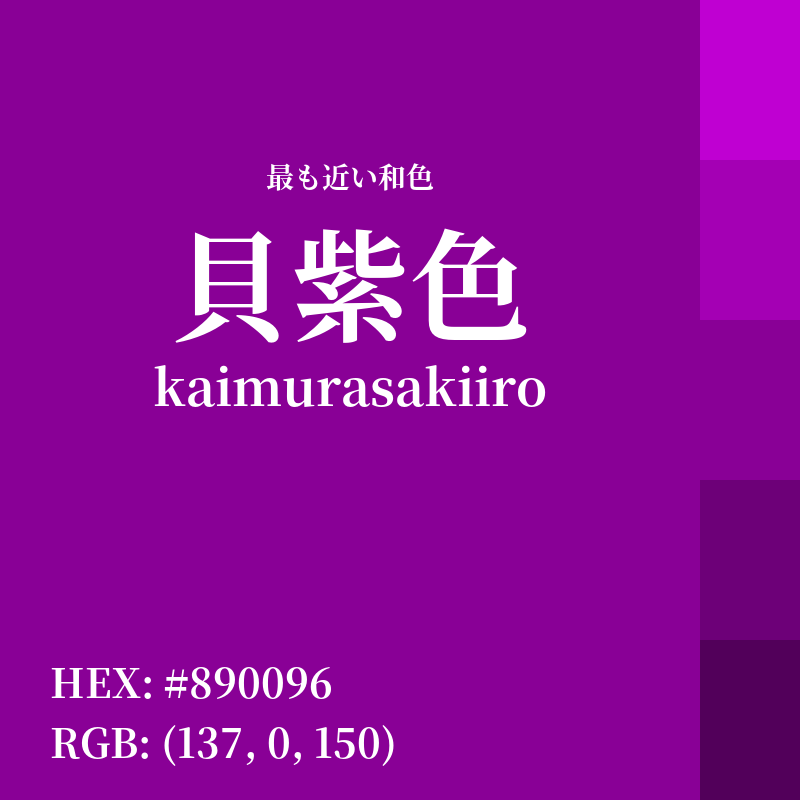 #890096 : 最も近い和色「貝紫色 (kaimurasakiiro)」