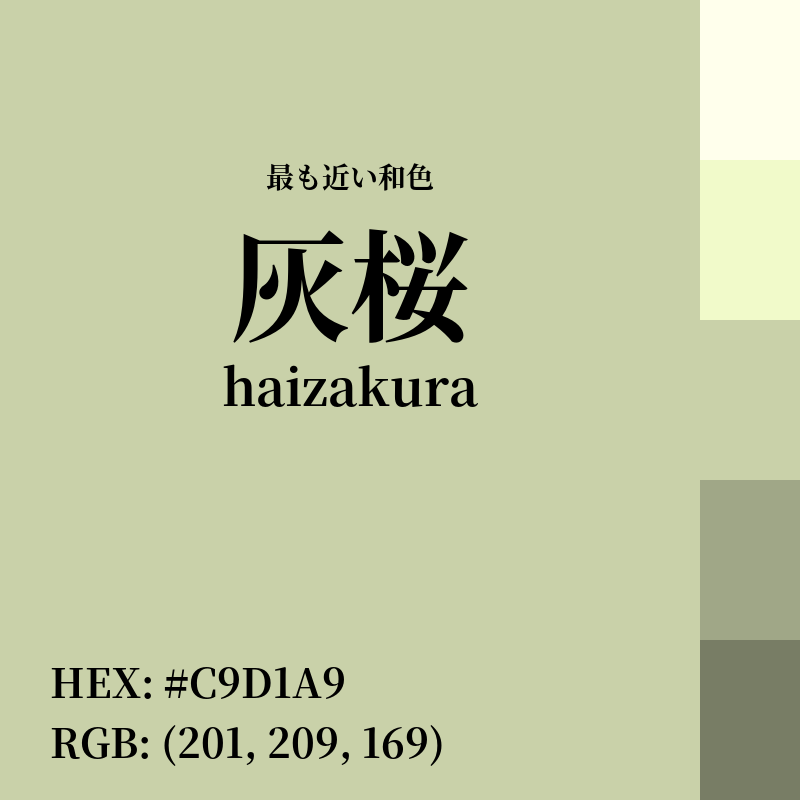 #C9D1A9 : 最も近い和色「灰桜 (haizakura)」