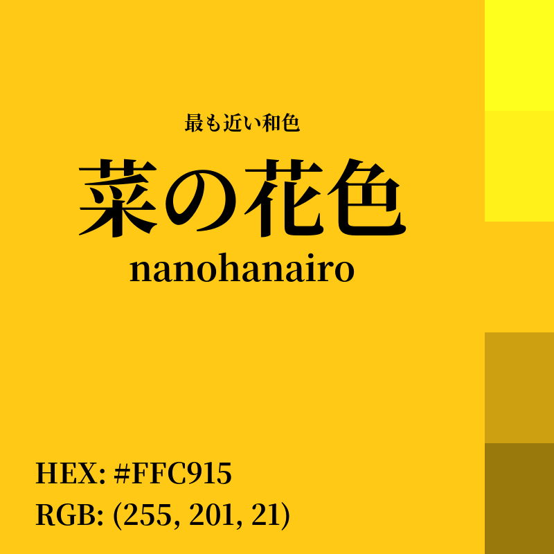 #FFC915 : 最も近い和色「菜の花色 (nanohanairo)」