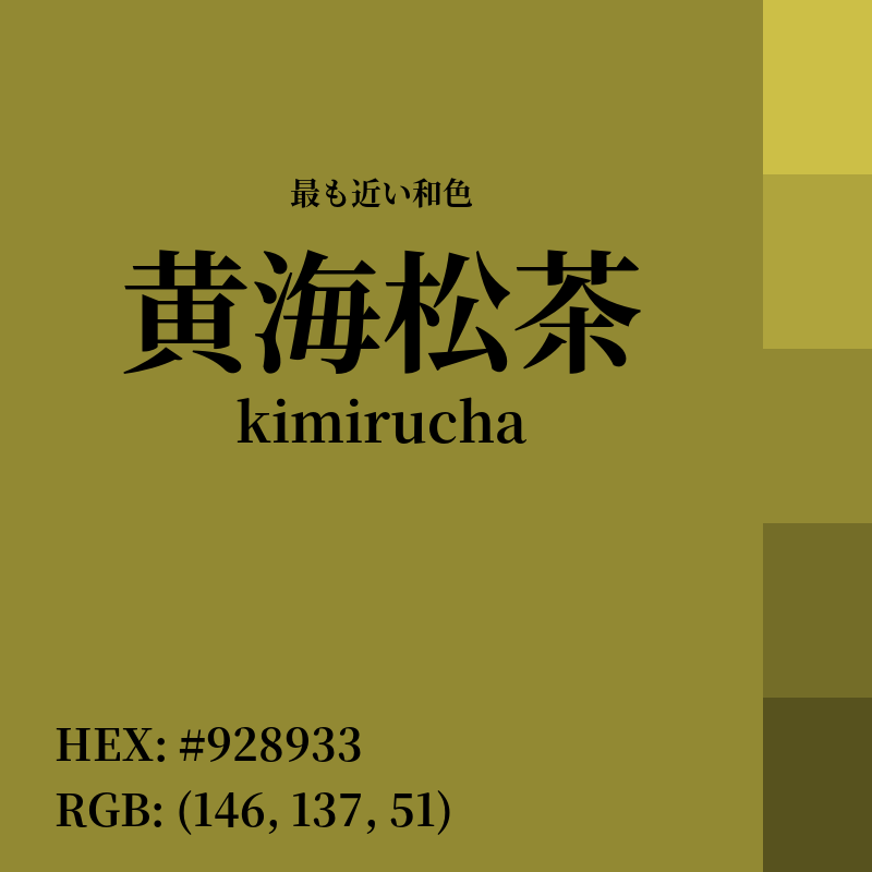 #928933 : 最も近い和色「黄海松茶 (kimirucha)」