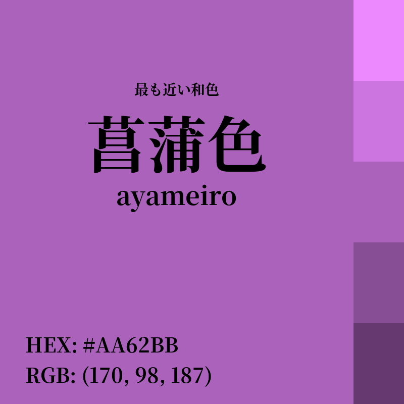 #AA62BB : 最も近い和色「菖蒲色 (ayameiro)」