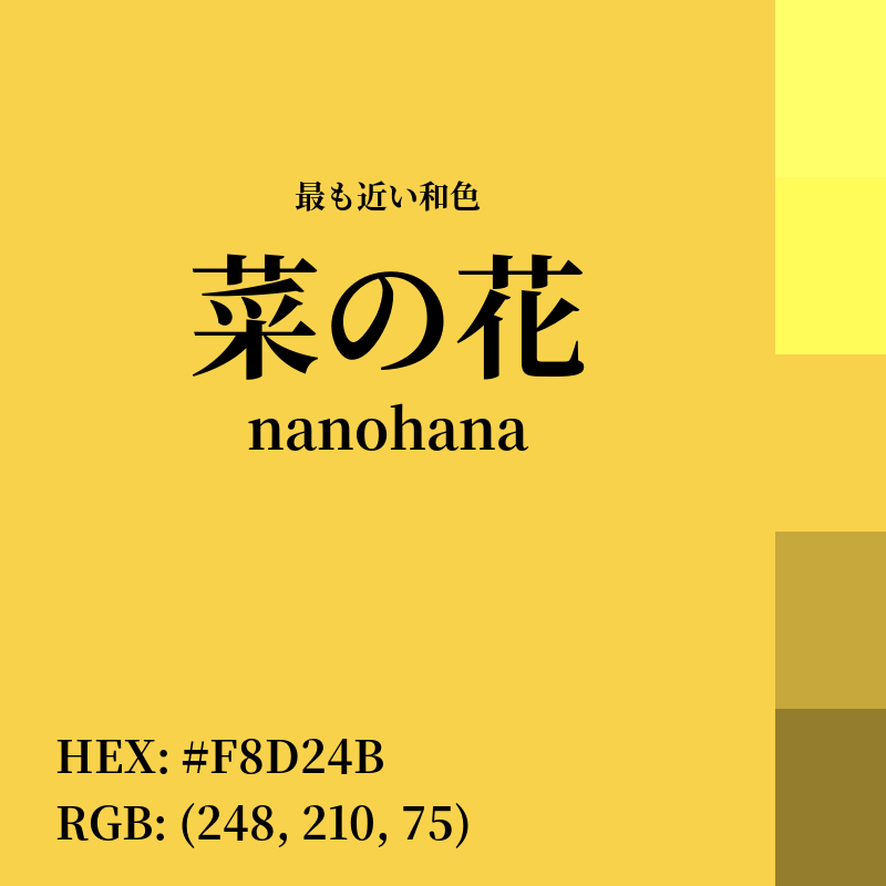 #F8D24B : 最も近い和色「菜の花 (nanohana)」
