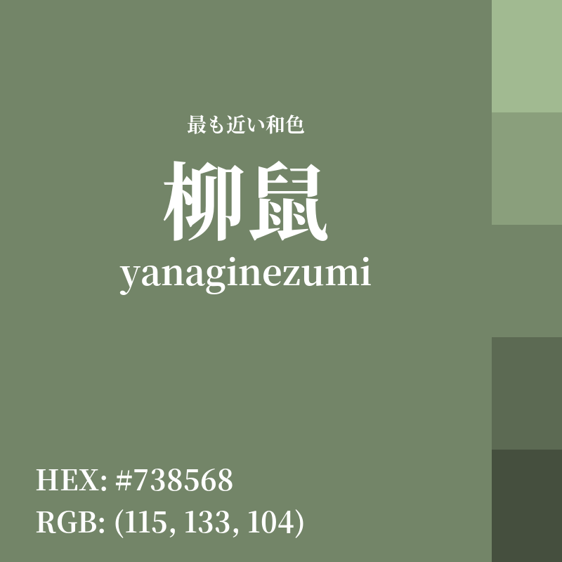 #738568 : 最も近い和色「柳鼠 (yanaginezumi)」