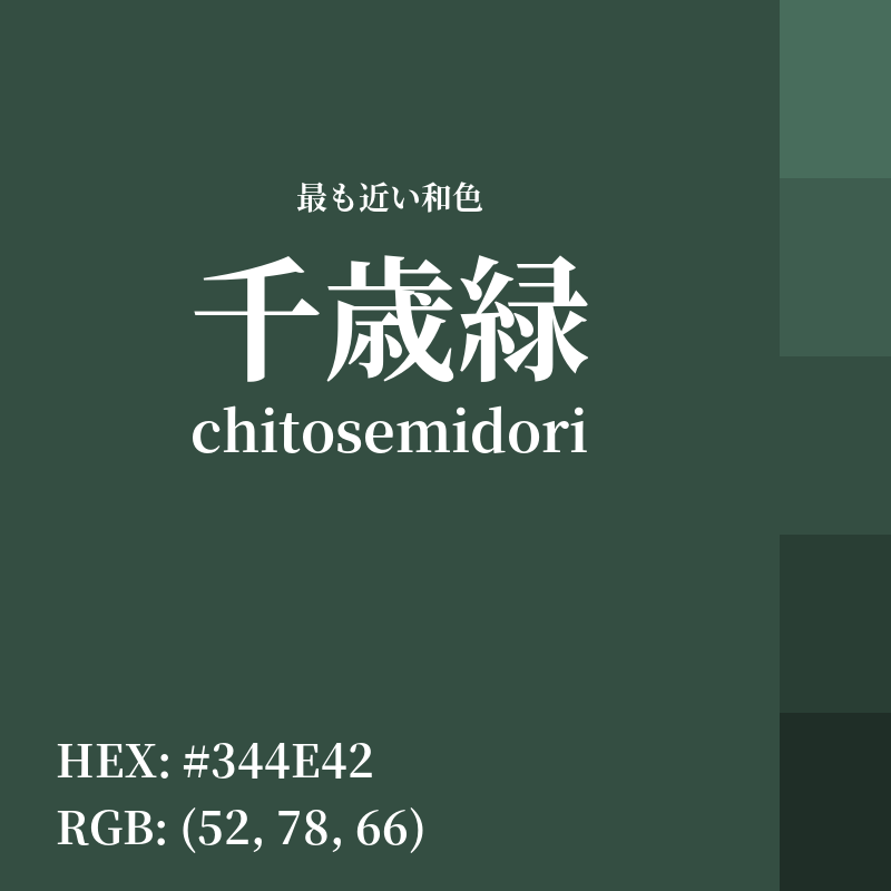 #344E42 : 最も近い和色「千歳緑 (chitosemidori)」