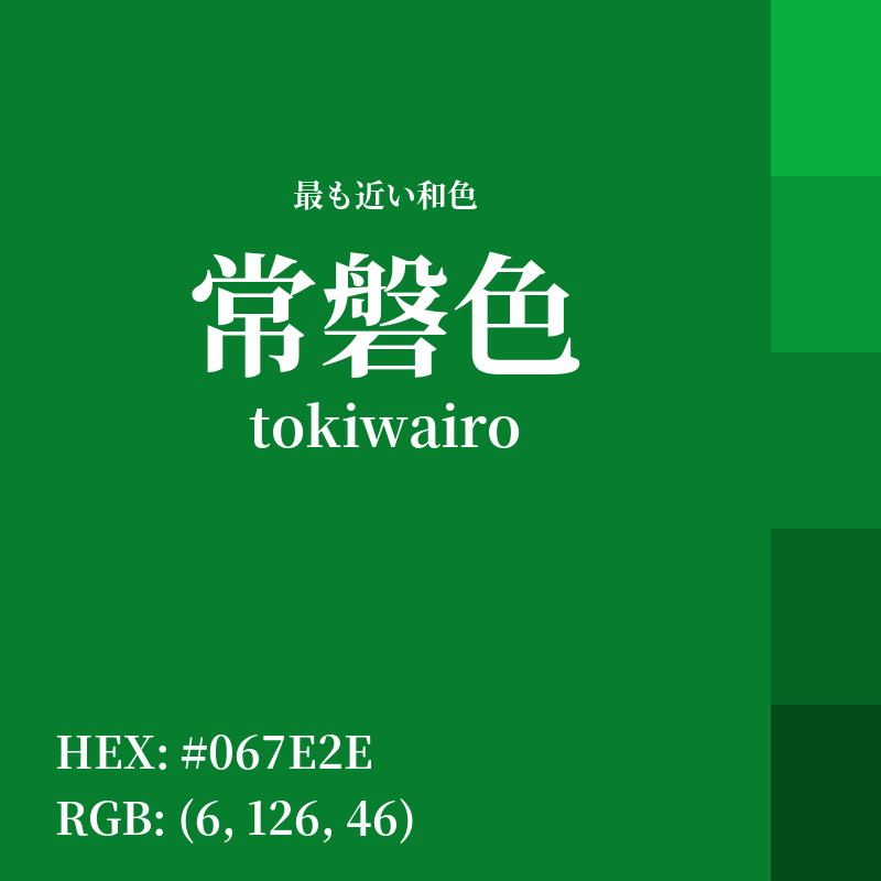 #067E2E : 最も近い和色「常磐色 (tokiwairo)」