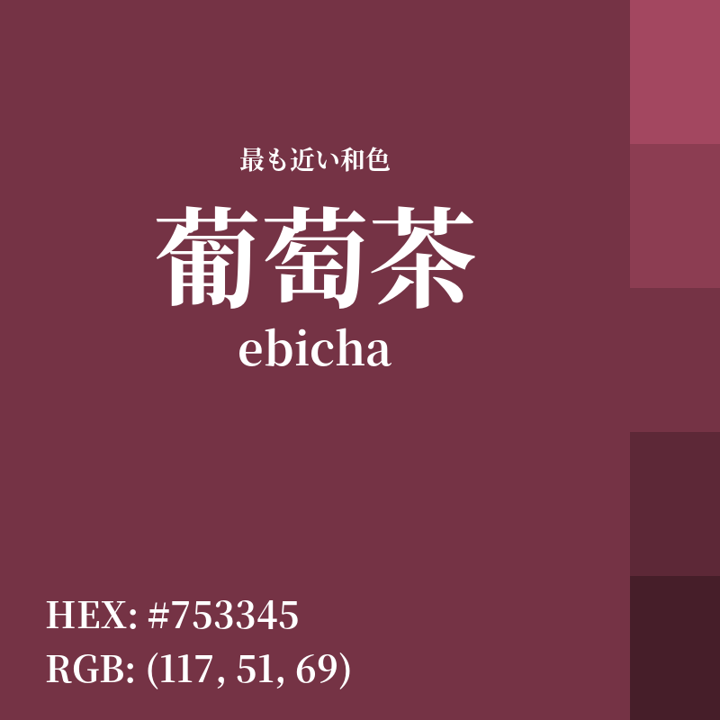 #753345 : 最も近い和色「葡萄茶 (ebicha)」