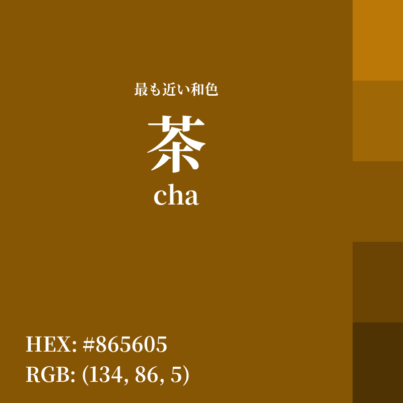 #865605 : 最も近い和色「茶 (cha)」