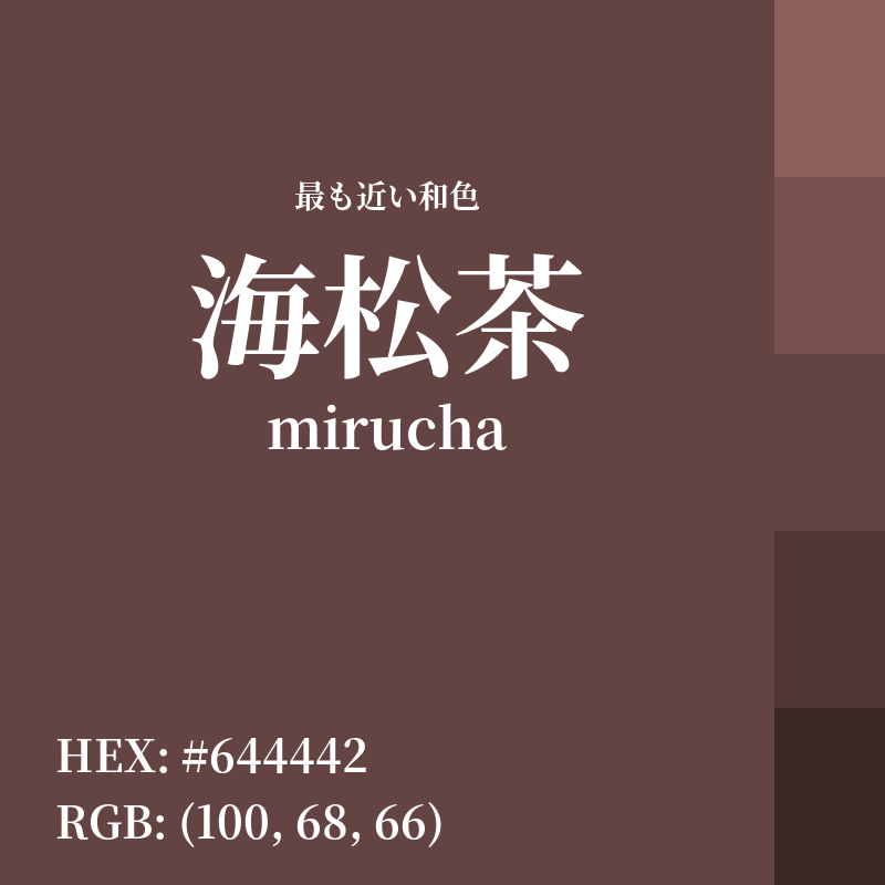 #644442 : 最も近い和色「海松茶 (mirucha)」