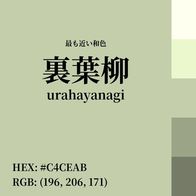 #C4CEAB : 最も近い和色「裏葉柳 (urahayanagi)」