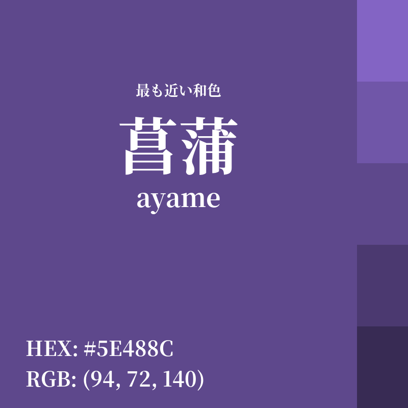 #5E488C : 最も近い和色「菖蒲 (ayame)」