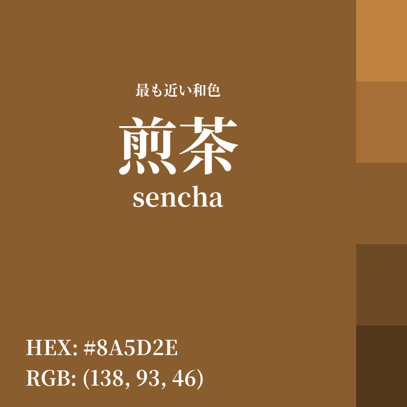#8A5D2E : 最も近い和色「煎茶 (sencha)」