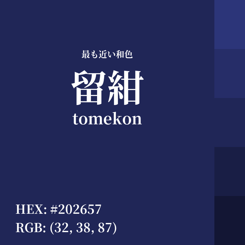 #202657 : 最も近い和色「留紺 (tomekon)」