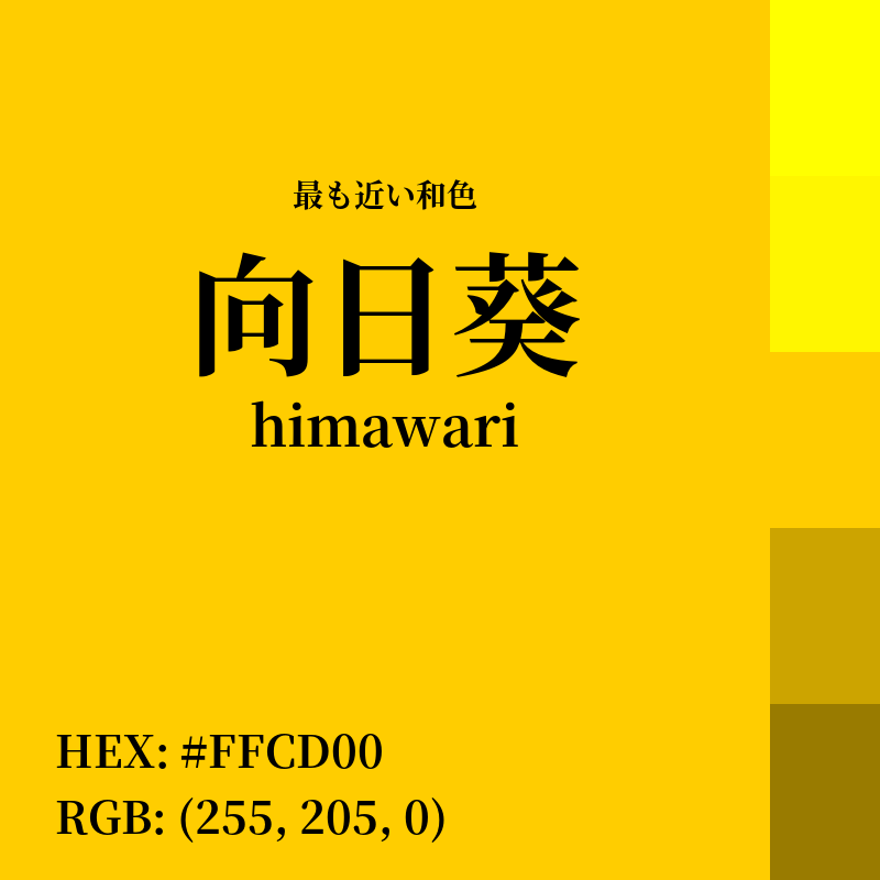 #FFCD00 : 最も近い和色「向日葵 (himawari)」