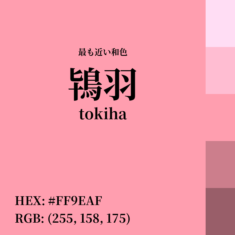 #FF9EAF : 最も近い和色「鴇羽 (tokiha)」