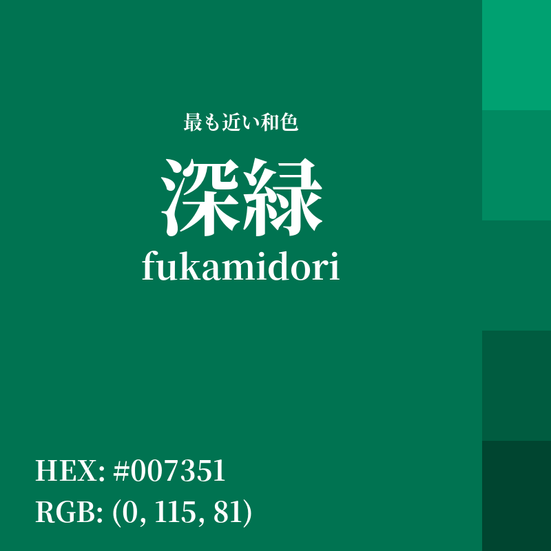#007351 : 最も近い和色「深緑 (fukamidori)」