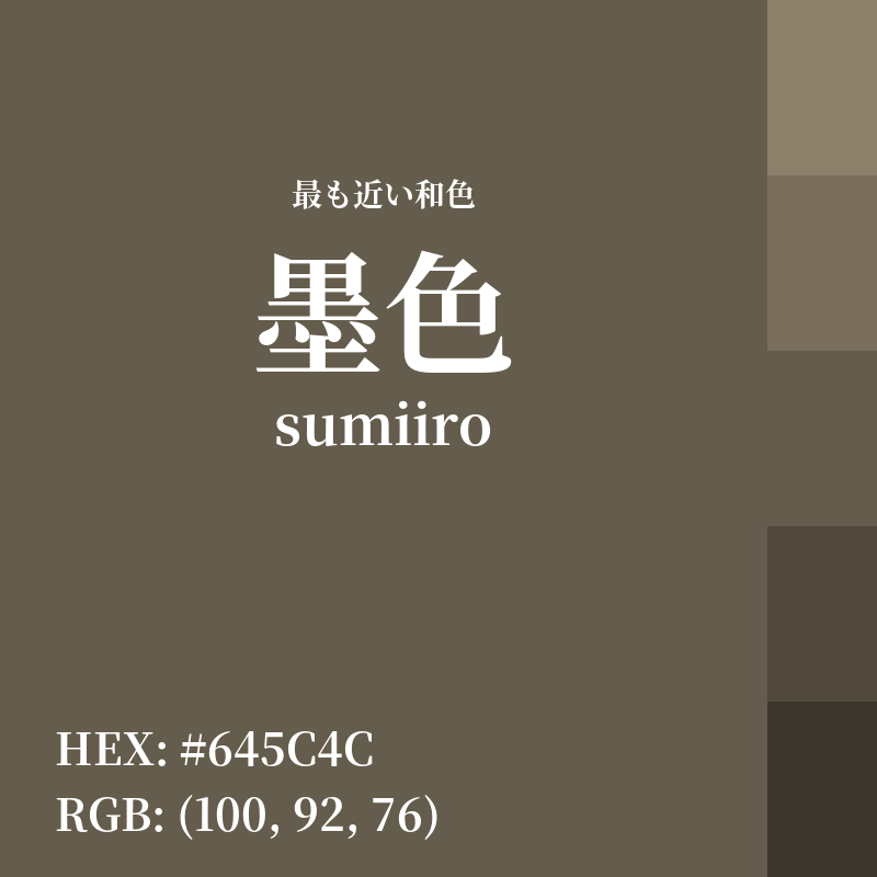 #645C4C : 最も近い和色「墨色 (sumiiro)」