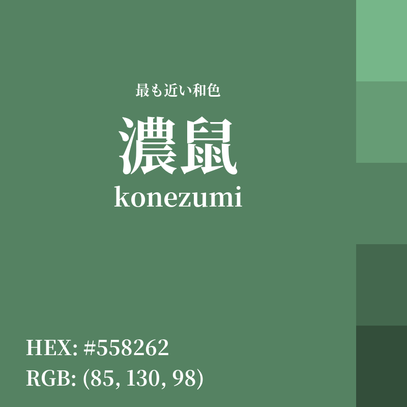 #558262 : 最も近い和色「濃鼠 (konezumi)」