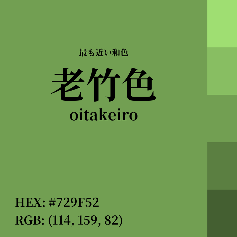 #729F52 : 最も近い和色「老竹色 (oitakeiro)」