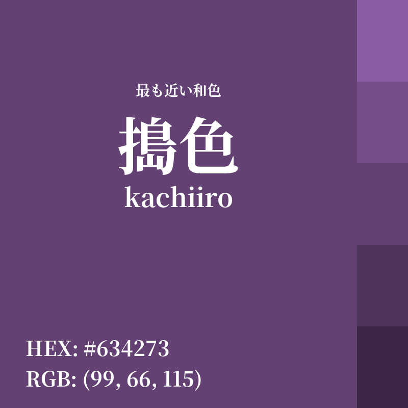 #634273 : 最も近い和色「搗色 (kachiiro)」