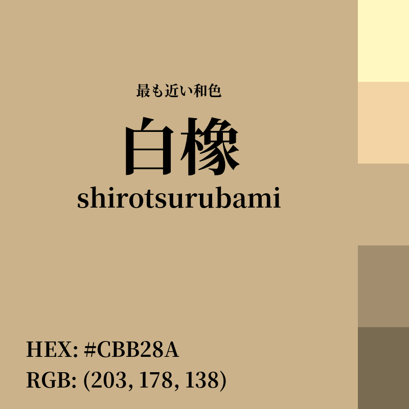 #CBB28A : 最も近い和色「白橡 (shirotsurubami)」