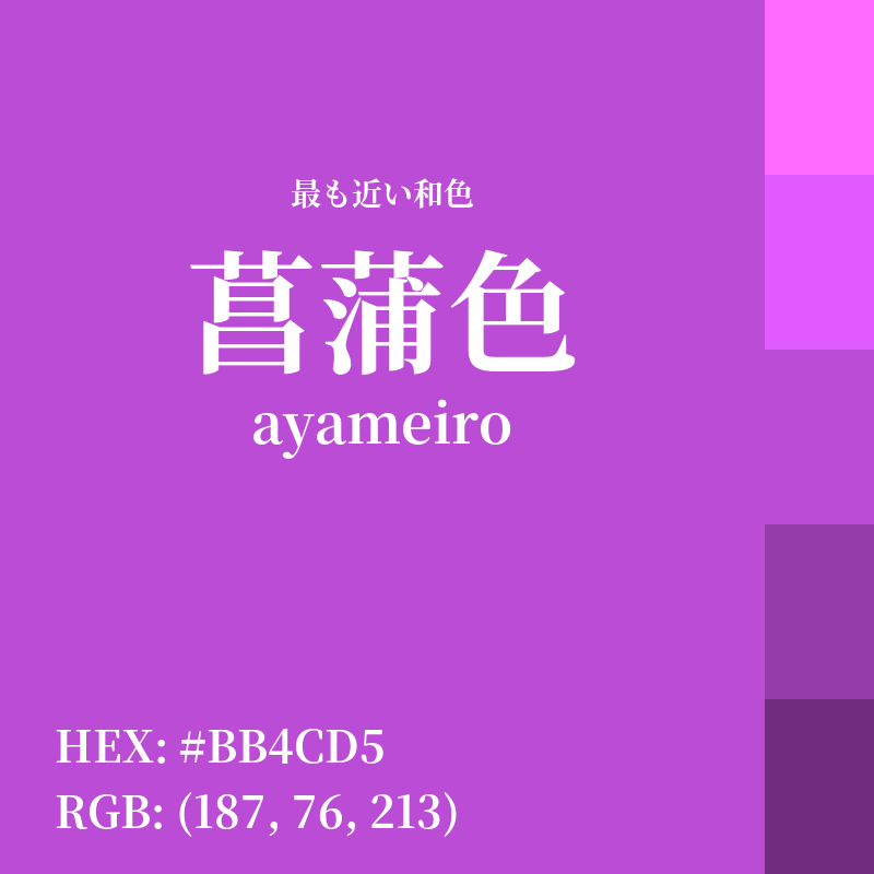 #BB4CD5 : 最も近い和色「菖蒲色 (ayameiro)」