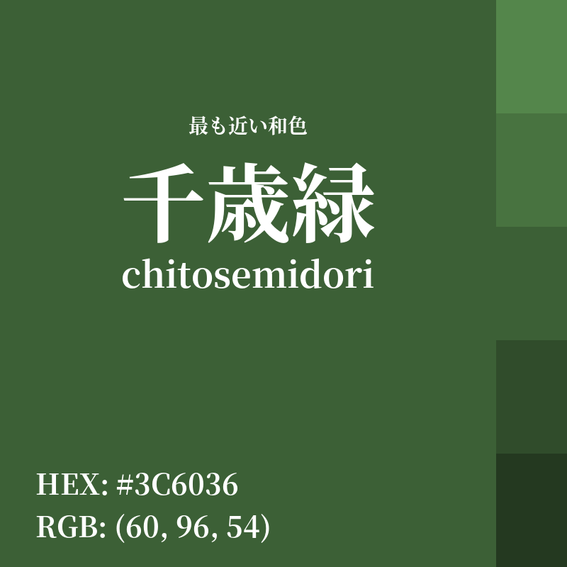 #3C6036 : 最も近い和色「千歳緑 (chitosemidori)」