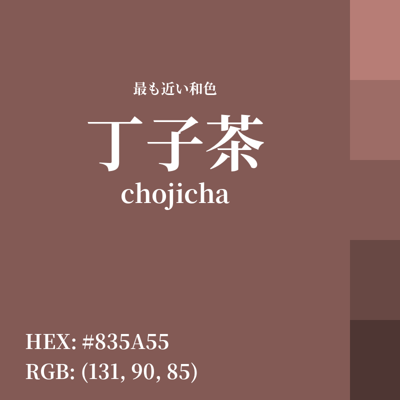 #835A55 : 最も近い和色「丁子茶 (chojicha)」