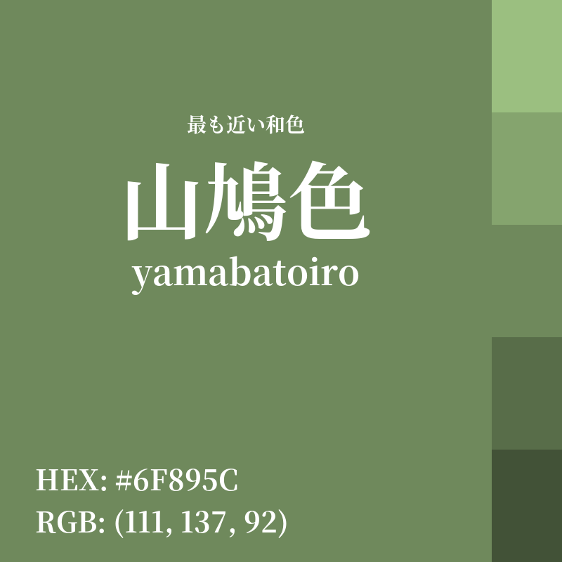#6F895C : 最も近い和色「山鳩色 (yamabatoiro)」