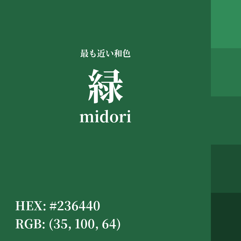 #236440 : 最も近い和色「緑 (midori)」