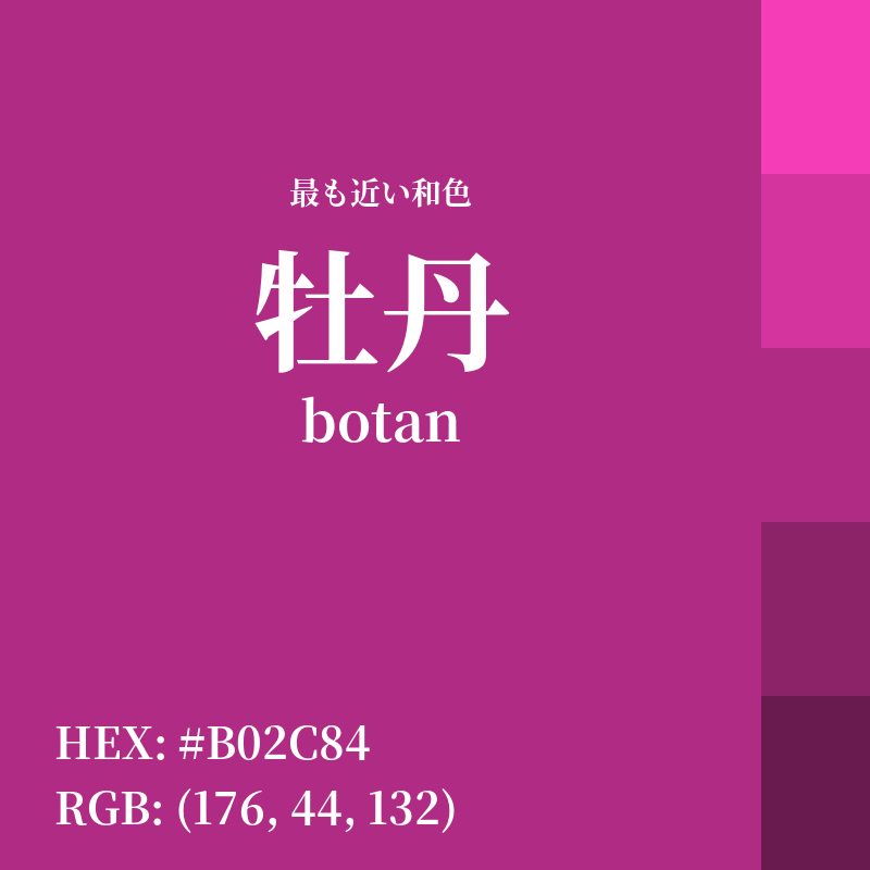 #B02C84 : 最も近い和色「牡丹 (botan)」