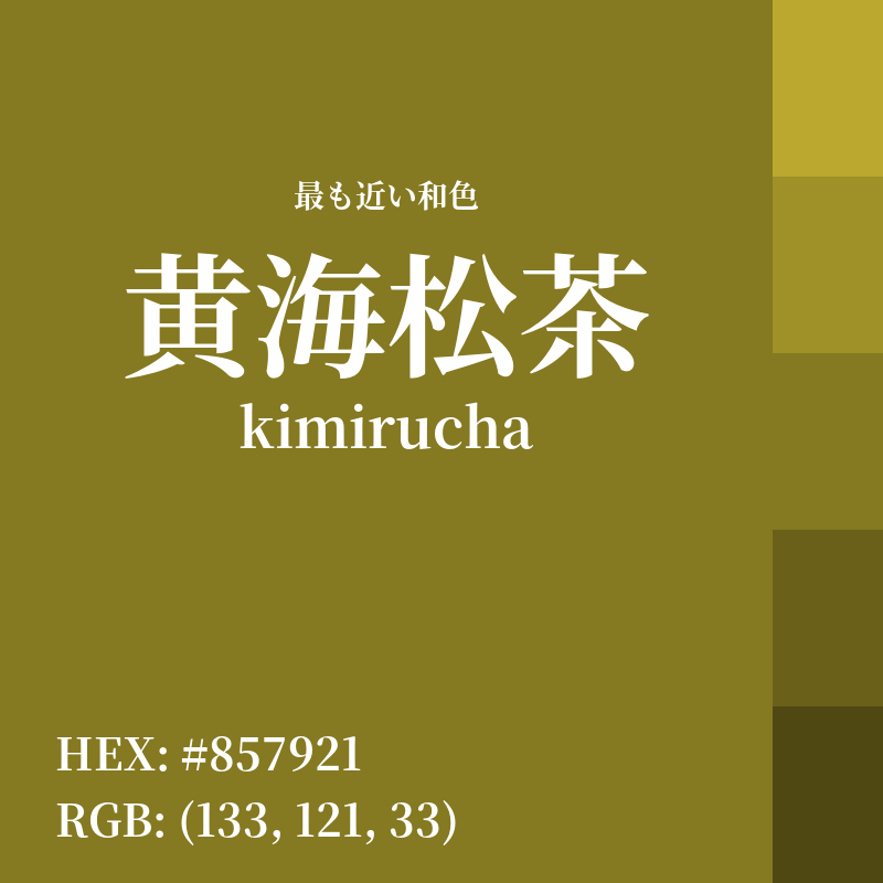 #857921 : 最も近い和色「黄海松茶 (kimirucha)」
