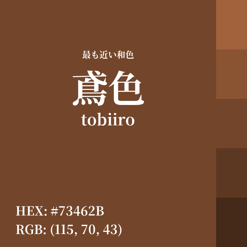 #73462B : 最も近い和色「鳶色 (tobiiro)」