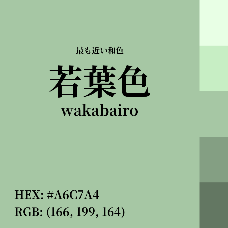 #A6C7A4 : 最も近い和色「若葉色 (wakabairo)」