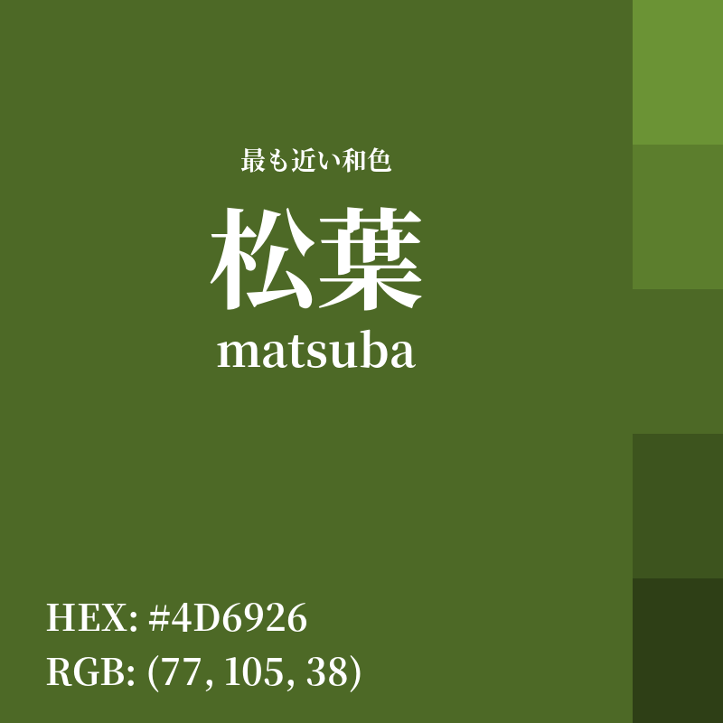 #4D6926 : 最も近い和色「松葉 (matsuba)」