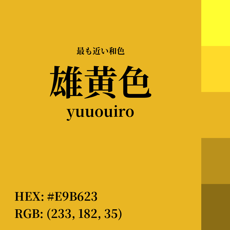 #E9B623 : 最も近い和色「雄黄色 (yuuouiro)」