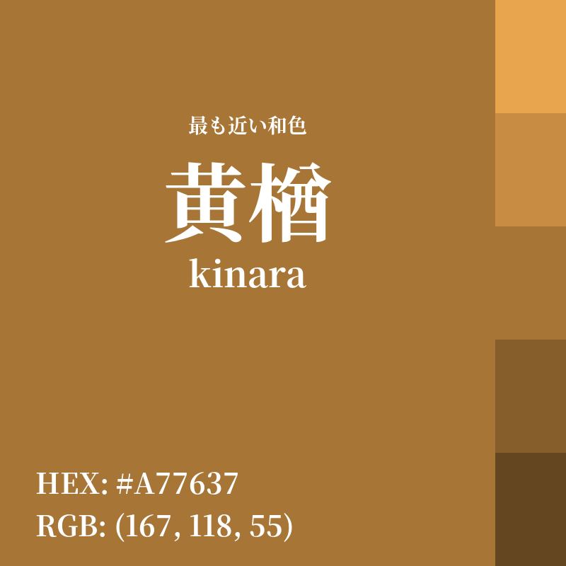 #A77637 : 最も近い和色「黄楢 (kinara)」