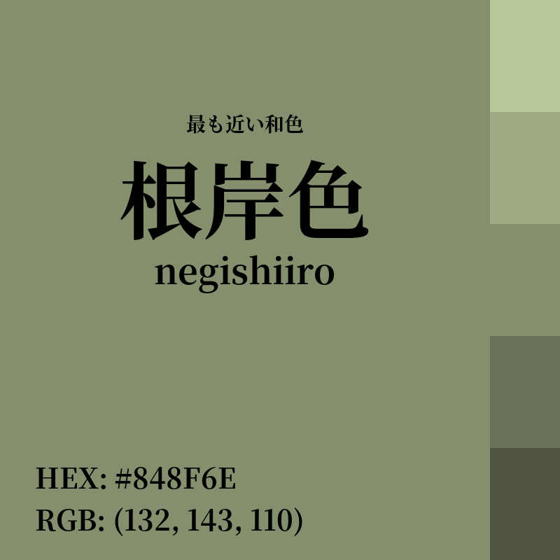 #848F6E : 最も近い和色「根岸色 (negishiiro)」