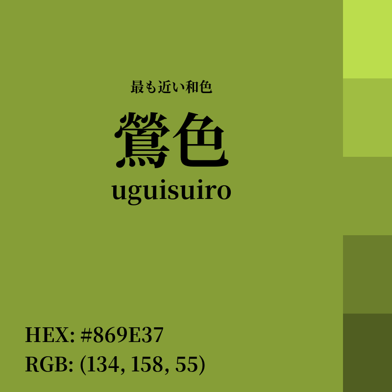 #869E37 : 最も近い和色「鶯色 (uguisuiro)」