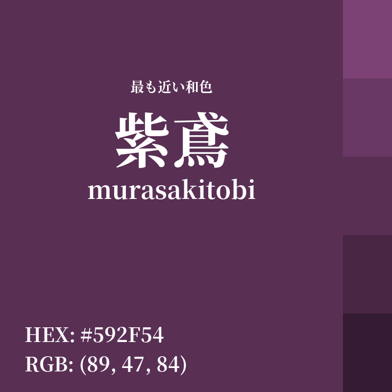 #592F54 : 最も近い和色「紫鳶 (murasakitobi)」