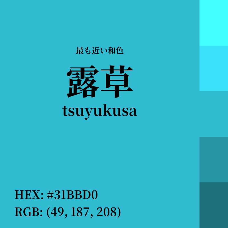#31BBD0 : 最も近い和色「露草 (tsuyukusa)」