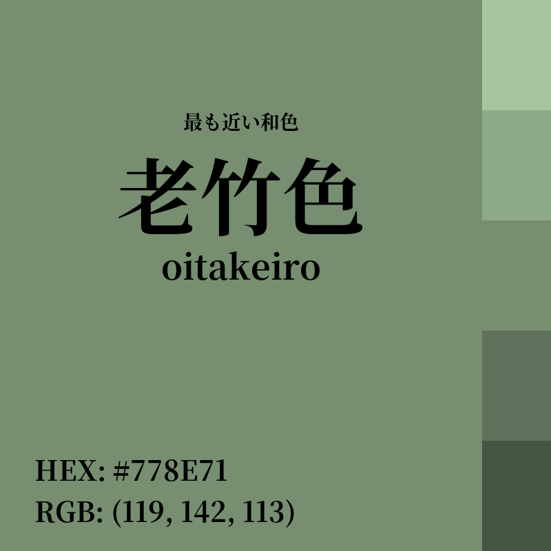 #778E71 : 最も近い和色「老竹色 (oitakeiro)」