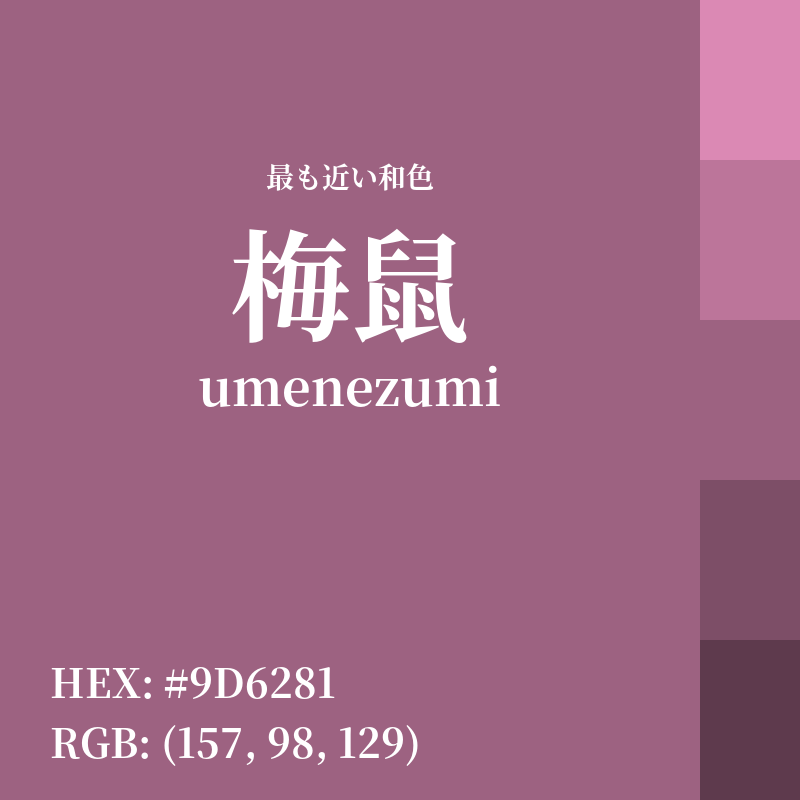 #9D6281 : 最も近い和色「梅鼠 (umenezumi)」