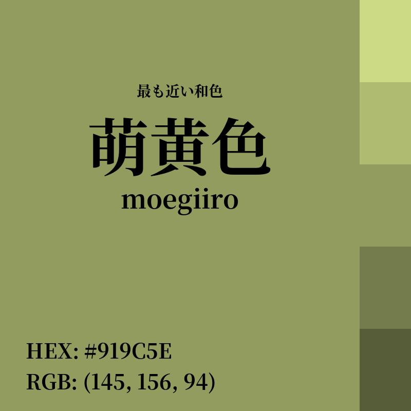 #919C5E : 最も近い和色「萌黄色 (moegiiro)」
